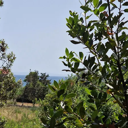 Apartament Marija Vir